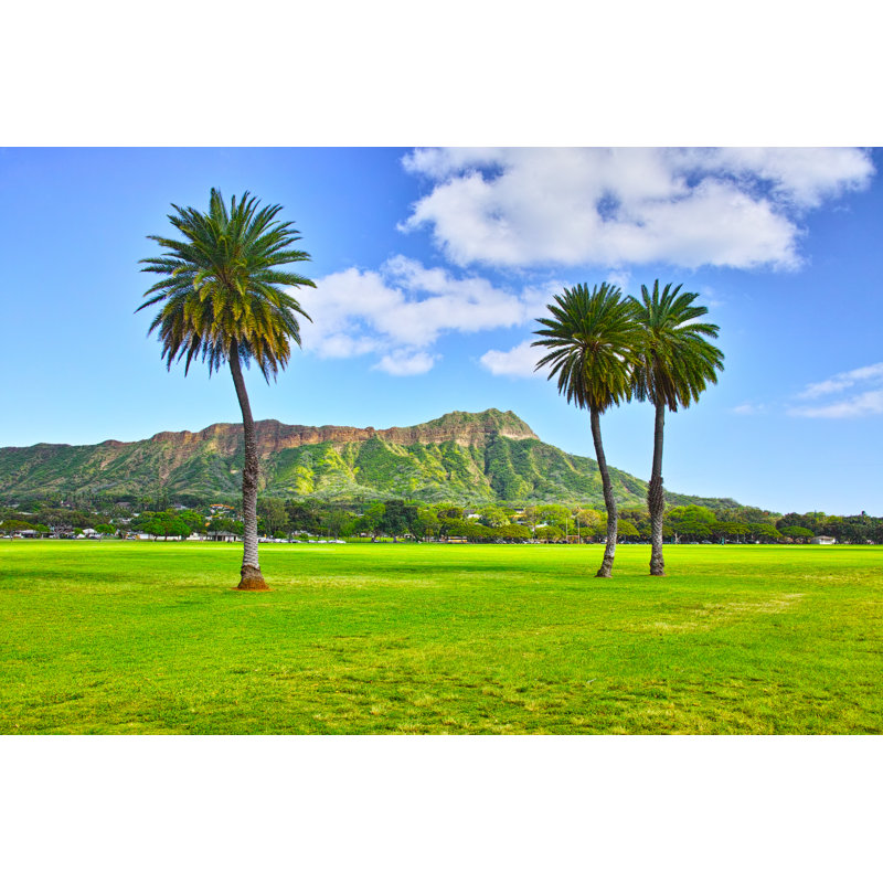 Kapiolani Park by 7maru - Wrapped Canvas Print, 81cm H x 122cm W