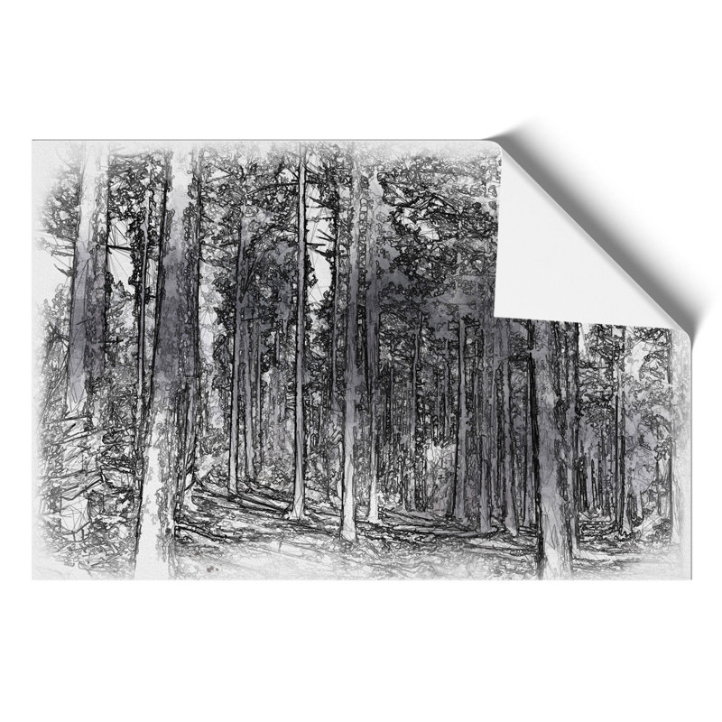 Conifer Tree Forest Sketch - Frameless Print, 59cm H x 84cm W x 0.1cm D