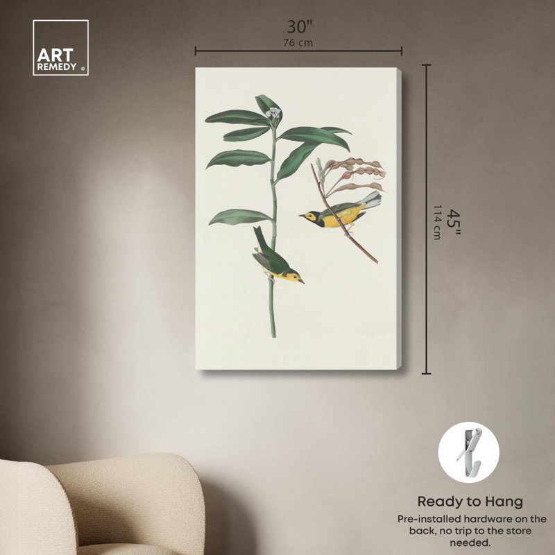 Art botanique par Art Remedy, impression sur toile, H 45 po x l 30 po, Gallery Wrapped