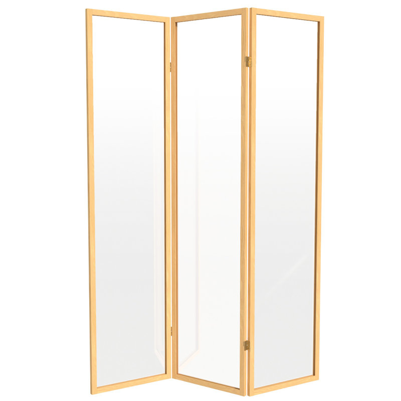 Cloison en plastique transparent Alayzhia, 3, Naturel, 6 pi