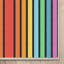 Tapis lavable arc-en-ciel rétro multicolore Well Woven-97205350