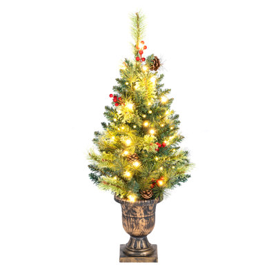 Lighted Pine Christmas Tree