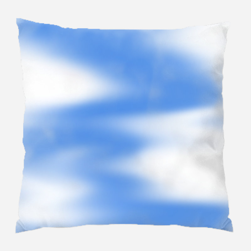 Coussin décoratif Viroqua, Microsuède, Intérieur