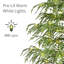 Sapin blanc 7,5 pi pré-éclairé