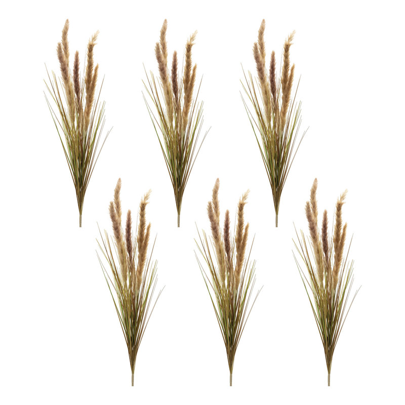 Foxtail Grass Bush