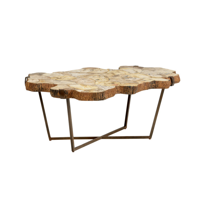 Wildwood Rustic Petrified Wood and Iron Coffee Table