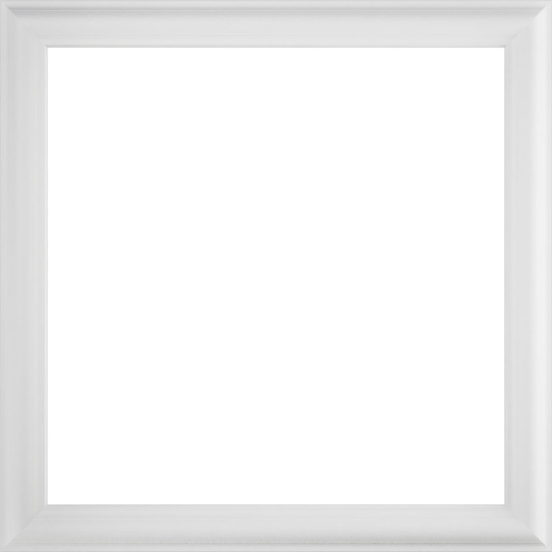 Ashford Molded Classic Wainscot Wall Panel, 20" H x 20" W x 0.5" D, Square Panel