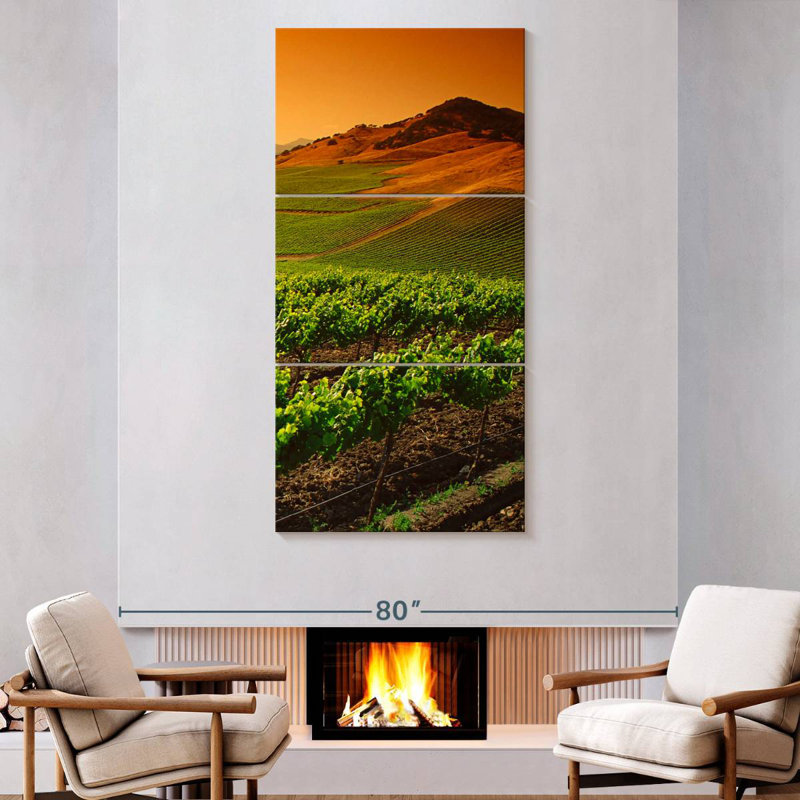 Carneros Vineyard Twilight