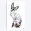« larry », impression sur toile-31802575-73440566-73440572