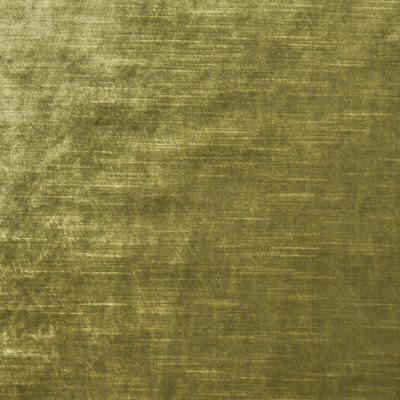 Allure Fabric
