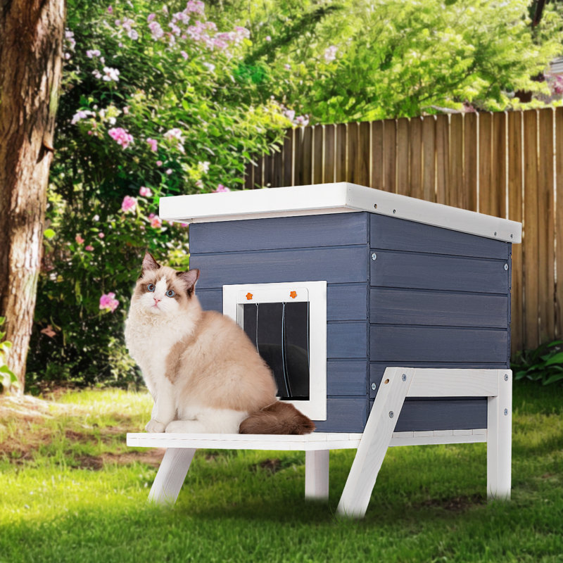 Maison pour chat Eyuel, Bleu / blanc
