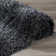 Petrey Indoor Rug