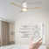 Amoni 52'' Ceiling Fan with LED Lights