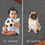Haldor Indoor / Outdoor Rug-914241265