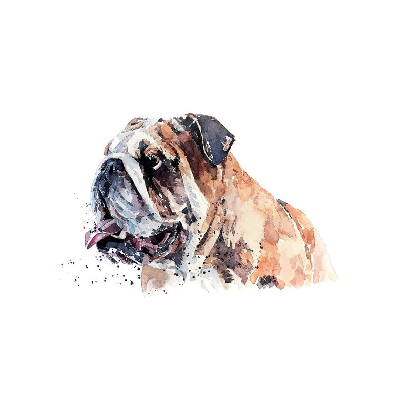 English Bull Dog - Wrapped Canvas Painting, 20.32 cm H x 30.48 cm W