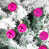 Rouge rose est en rupture de stock