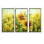 «Bright Yellow Sunny Sunflowers», ensemble de 3 toiles encadrées florales-84336230-84336232
