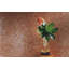 5/8" x 5/8" Iridescent Glass Mosaic-302850068
