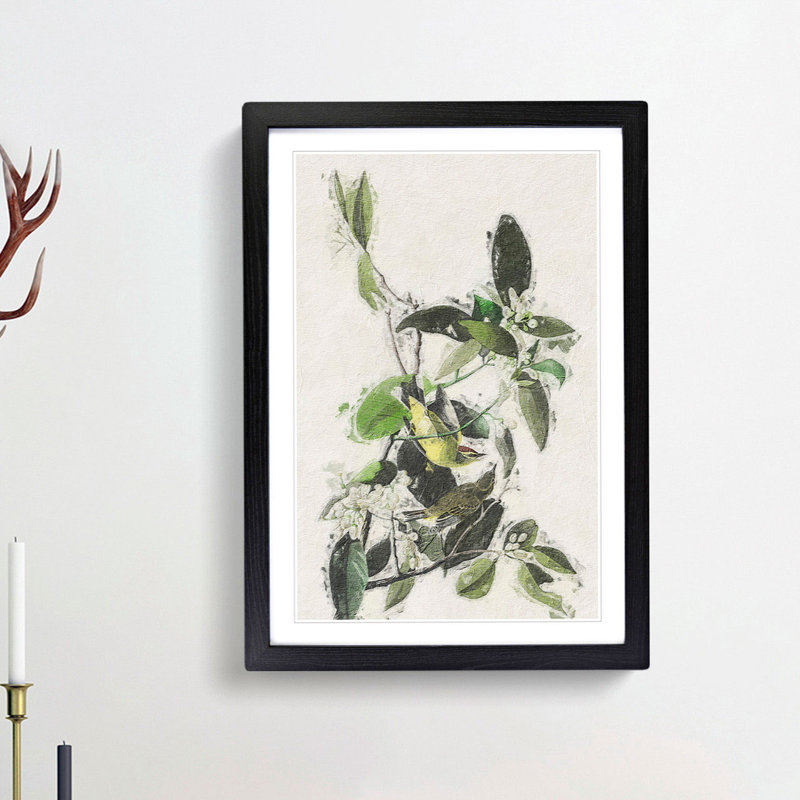 Palm Warbler by John Audubon - Framed Print, 36cm H x 27cm W x 2cm D, Black Framed