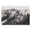 Light Rays In Coniferous Forest - No Frame Print on Glass-508000620-508000610