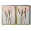 " Danita Delimont " 2 - Pieces-442514281-442514280-442514283