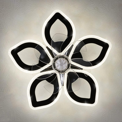 Ceiling Fan With Lighting