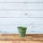 Carrero Pot Planter-579612687-579612683