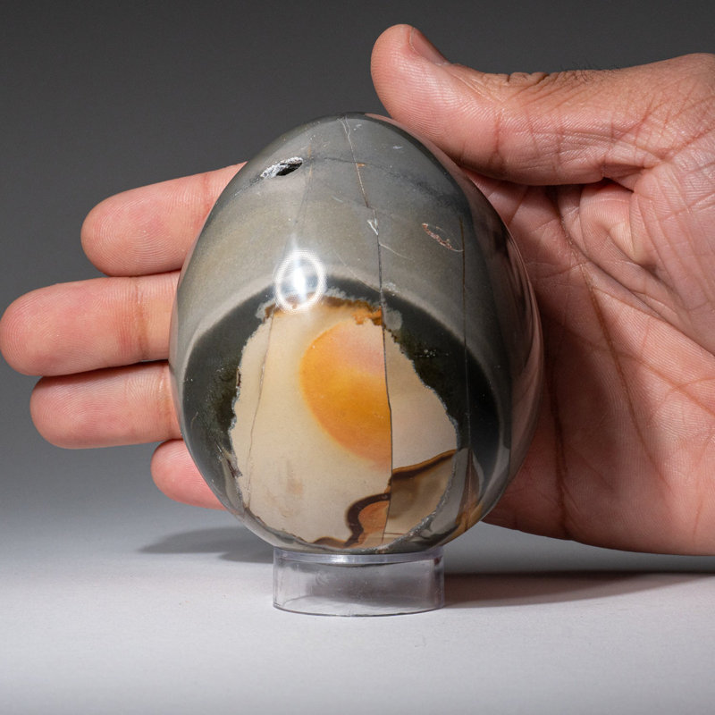 Genuine Polished Polychrome Jasper Egg from Madagascar (1.19 Lbs)
