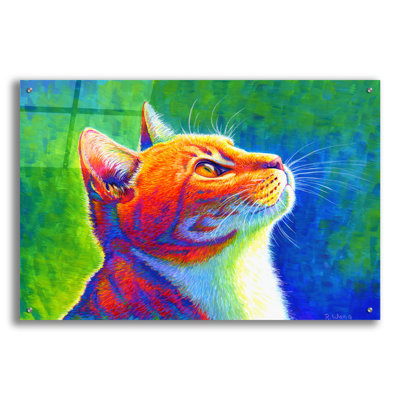 «Rainbow Cat» par Rebecca Wang Art