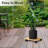 Wood Plant Stand-202675507
