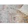 Antique Loom Cream/Rust Polyester powerloom Area Rug