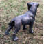 Larae Dog Weather Resistant Concrete Garden Statue-1255861315