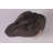 Allosaurus Dinosaur Head Life Size Statue