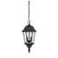 Lanterne suspendue d’extérieur 2 lumières Syliva-26243692