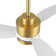 Gianick Ceiling Fan with LED Lights