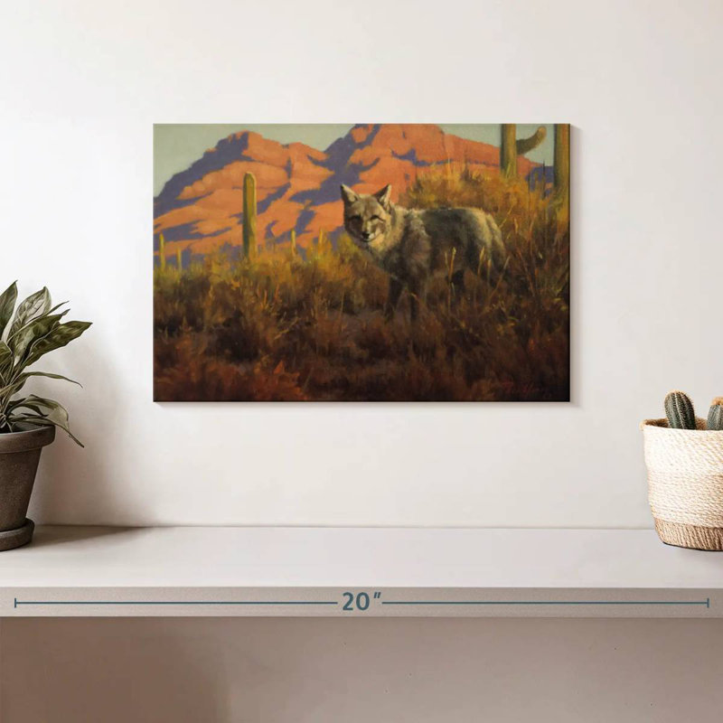 Coyote du désert sauvage Brampt