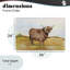 Farm Animal In Pasture Canvas, design by Jean Plout
