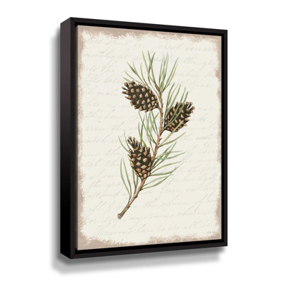 " Pine Cone Botanical I "