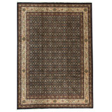 Hand Woven Wool Oriental Area Rug