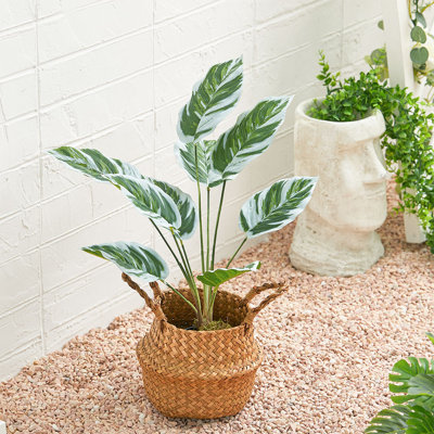 54.5 cm H Faux Devil's Ivy Plant in Plastic Pot