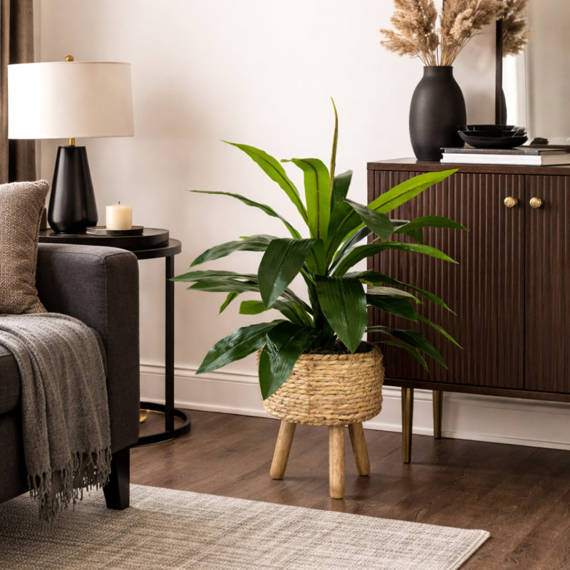 Callender 17.50" Artificial Dracaena Plant in Basket, Natural