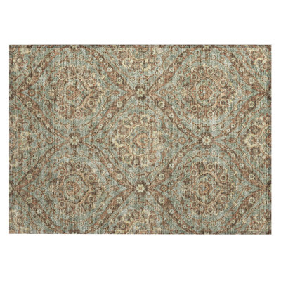 Machine Washable Indoor/Outdoor Chantille ACN2703 Global Rug