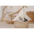 Holiday Essence Outdoor Reversible Throw Pillow-1425495280