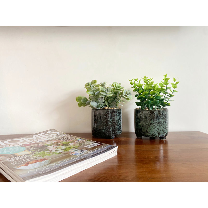 Fernly Ceramic Pot Planter
