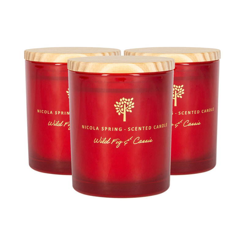 Nicola Spring - 3x Soy Wax Scented Candles - 130g - Wild Fig & Cassis