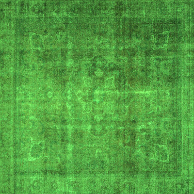 Eliezel Performance Oriental Indoor Rug