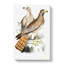Two Eagles by John Edward - Wrapped Canvas-55361413