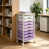 Purple/White