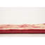 Oriental Area Rug-1760157455