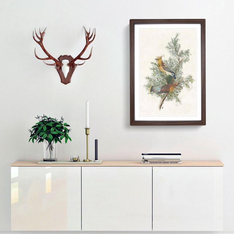 Cedar Birds by John Audubon - Picture Frame Painting Print, 36cm H x 27cm W x 2cm D, Walnut Framed